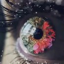 보리마을농장 네이버블로그