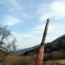 축령산 금곡 마을 리장이되다 이미지