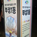 성환천 억새길 이미지