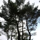 로하스통나무집 이미지