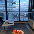 포포아일랜드 | 🇦🇺 5월의 멜버른을 좋아하세요? (3) (필립 아일랜드 투어, 퍼핑 빌리, 사사프라스, 마루 동물원, 펭귄...