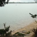 행복한작은고구마 이미지