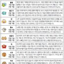 일진란제리 이미지