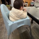 금화애견 | 대구 동대구역 돈까스 맛집 금화왕돈까스 후기｜옛날돈까스·쫄면·애견동반 가능한 곳