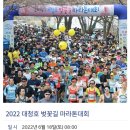 2022 대청호 벚꽃길 마라톤 대회 이미지