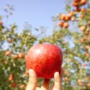 015-운정1-015 이미지