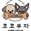코코부자 이미지