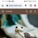 불교개구리