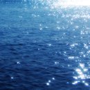 바다속으로 이미지