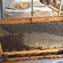 행복농장 5 이미지