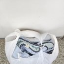 신창 비바 세탁소 이미지