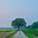 내판주유소 이미지