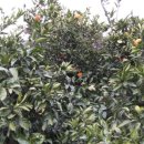 체험농장 민박 이미지