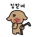 토리토리치킨
