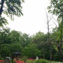 스위트단지내공인중개사사무소 이미지