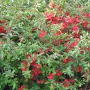 삼일빌딩 이미지