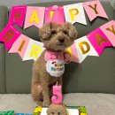 오븐앤도그 이미지