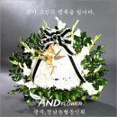 유연 박도채[38년] 별세를 알려드립니다. 이미지