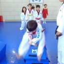 국가대표 차오름 태권도장 이미지