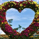 &#34;이런 무료 전시회 또 있을까요?&#34; 체험·공연·2만 송이 국화까지 즐기는 가을 축제 이미지