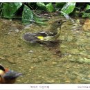 숲속의 옹달샘 이미지