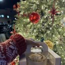 5134 | 🎂 용인 달이네케이크 — 남편 생일을 특별하게 만든 레터링 &amp; 포토케이크 후기