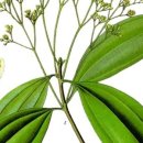 석촌경희한의원 이미지