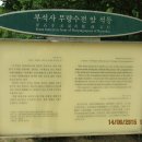 이성남외과의원 Daum카페