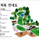 네이처독