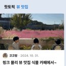 [공지] 2번째 핫토픽선정 TO.블로그씨 핑크뮬리 뷰 맛집 청주 강내 더다락 농장 식물카페