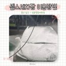 삼호셀프세차장 이미지