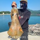 손뽕눈뽕