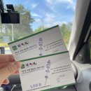 2936 | 전북 고창 청농원 라벤더가든 솔직후기(2024. 6. 16. 방문)
