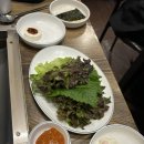 돌판위에저팔계 네이버블로그
