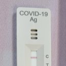 코보약국 이미지