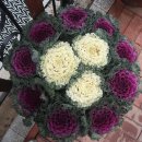 동오마을 경로당 이미지