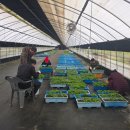 금산군농업기술센터 이미지