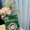 헬로펫 | 강아지해충방지 클립 헬로마이펫 후기 다이소 제품 비교해봤어요