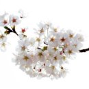 정제한의원 이미지