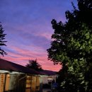 밸리MT | 뉴질랜드&amp;호주 신혼여행 10일차 비오는 날 테카포에서 후커밸리 트랙, 타스만 빙하 전망대 간 개고생 후기