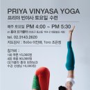 빈야사요가c 이미지