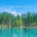 일도카플러스 | 마이리얼트립 일본여행 5월 할인코드 받아가세효 Feat. 최저가인 일본 투어 인기 상품 리스트 모음
