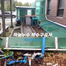 대양로 이미지