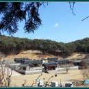 한산이씨족보 Daum카페