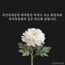유한회사 삼성해외관광
