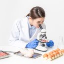 동선행정사사무소 이미지