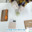 늘봄 그루밍 이미지