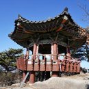 하늘보배 네이버블로그