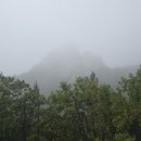 통일기원 미륵대불 이미지