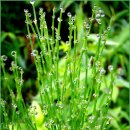 어느가을 오후 이미지